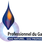 logo PGN-PGP (Professionnel du Gaz Naturel/Propane)