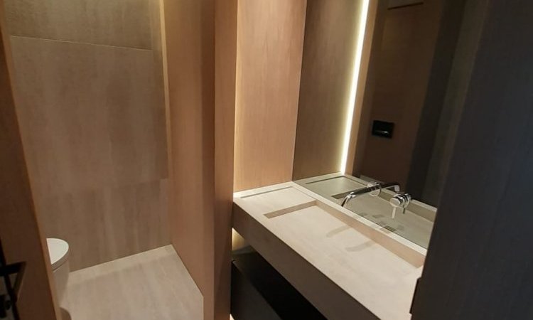 Création d'une salle de bain et d'un toilette dans un appartement à Caluire et Cuire