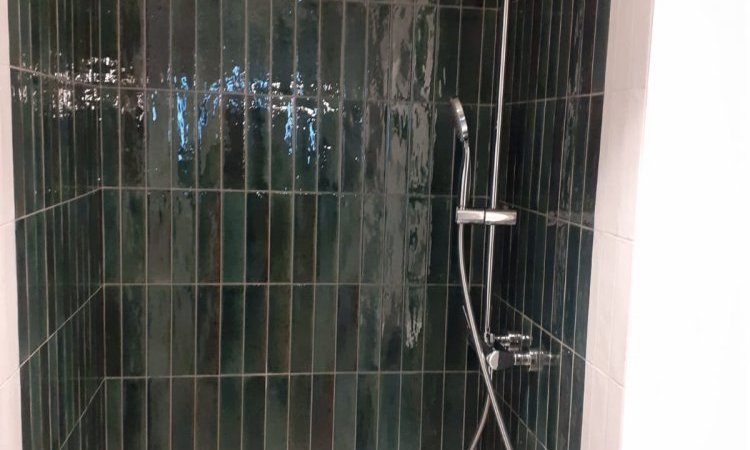 Installation d'un WC et rénovation d'une salle de bain dans un appartement à Lyon 6ème